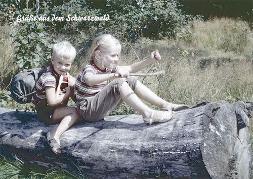 Postkarte Schwarzwald 20299