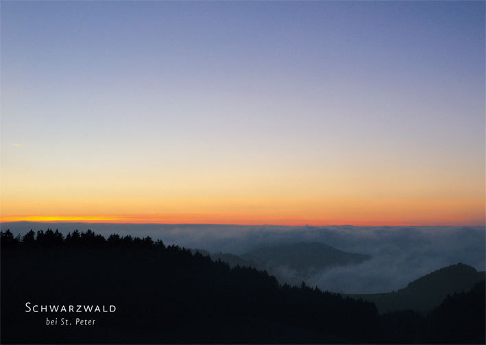 Postkarte Schwarzwald 20176