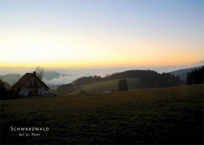 Postkarte Schwarzwald 20175