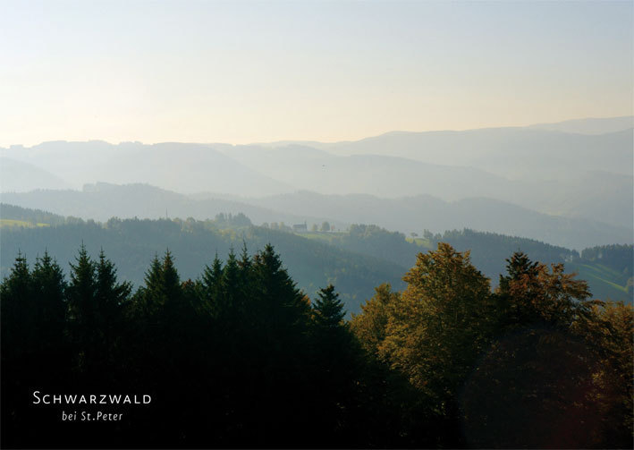 Postkarte Schwarzwald 20171