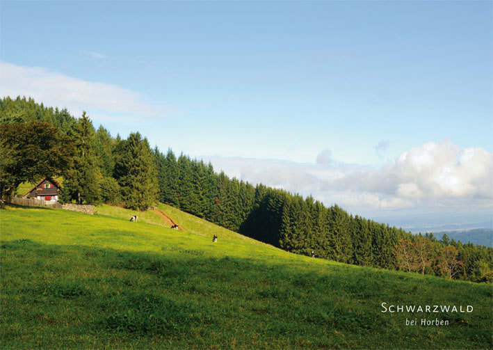 Postkarte Schwarzwald 20163