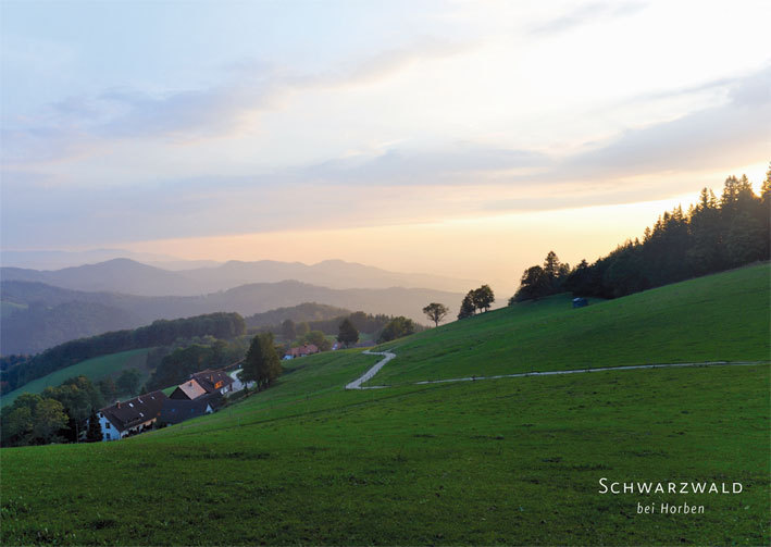 Postkarte Schwarzwald 20159