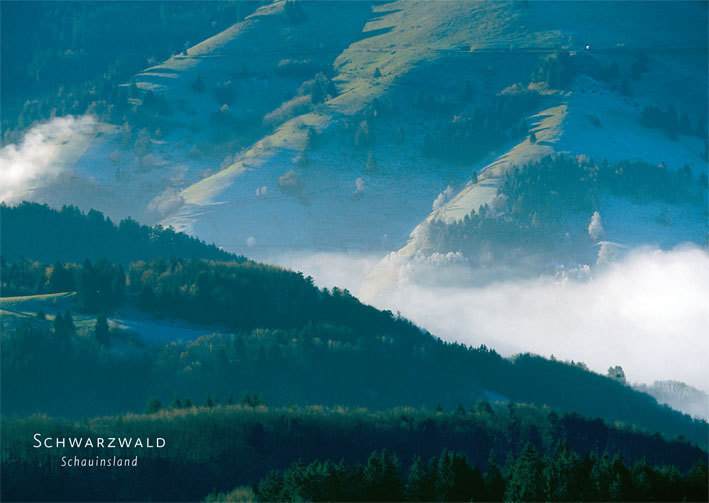 Postkarte Schwarzwald 20155